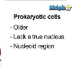 Learn Biology: Cells—Prokaryot