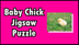 Baby Chick Jigsaw Puzzle - Pri