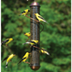 FeederWatch