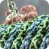 Inner Life of the Cell