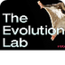 Evolution Lab