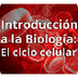 El ciclo celular - Biología - 