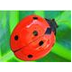 Ladybug 20 Piece Puzzle