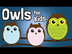 Owls for Kids