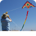Fun Facts About Kites | The Fa